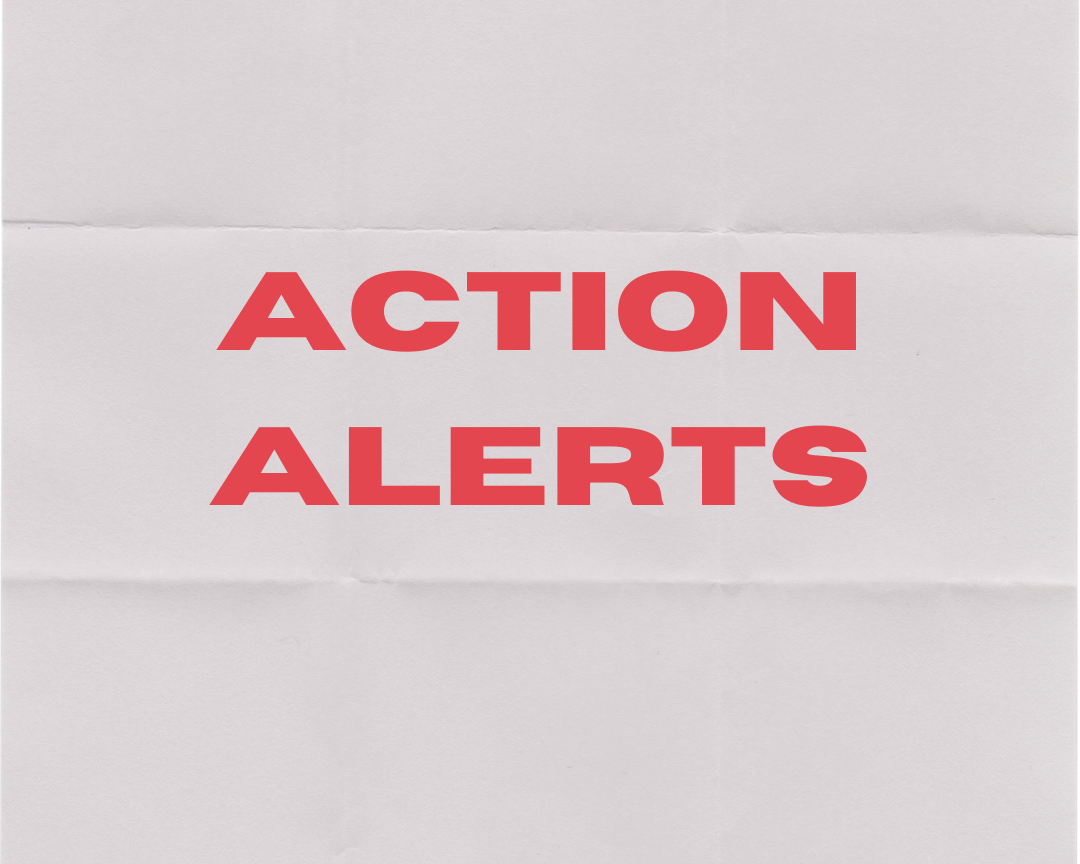 Action Alert 4