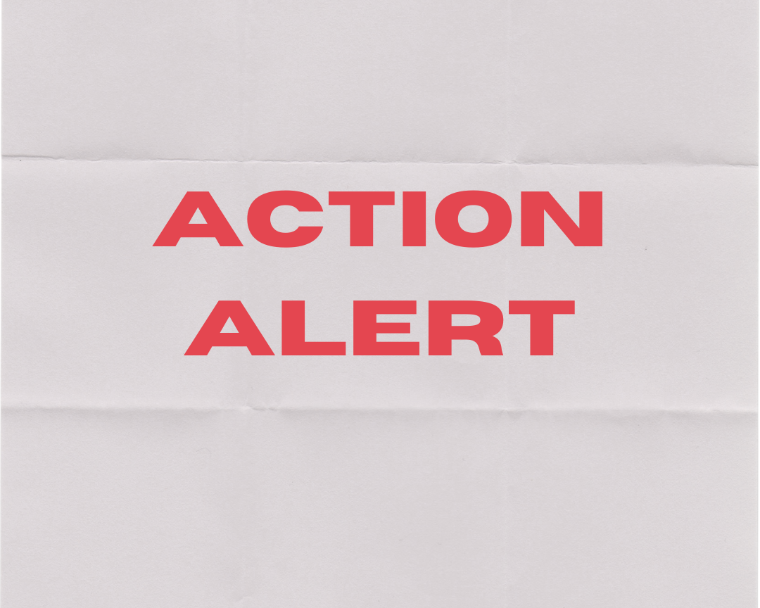 Action Alert 6