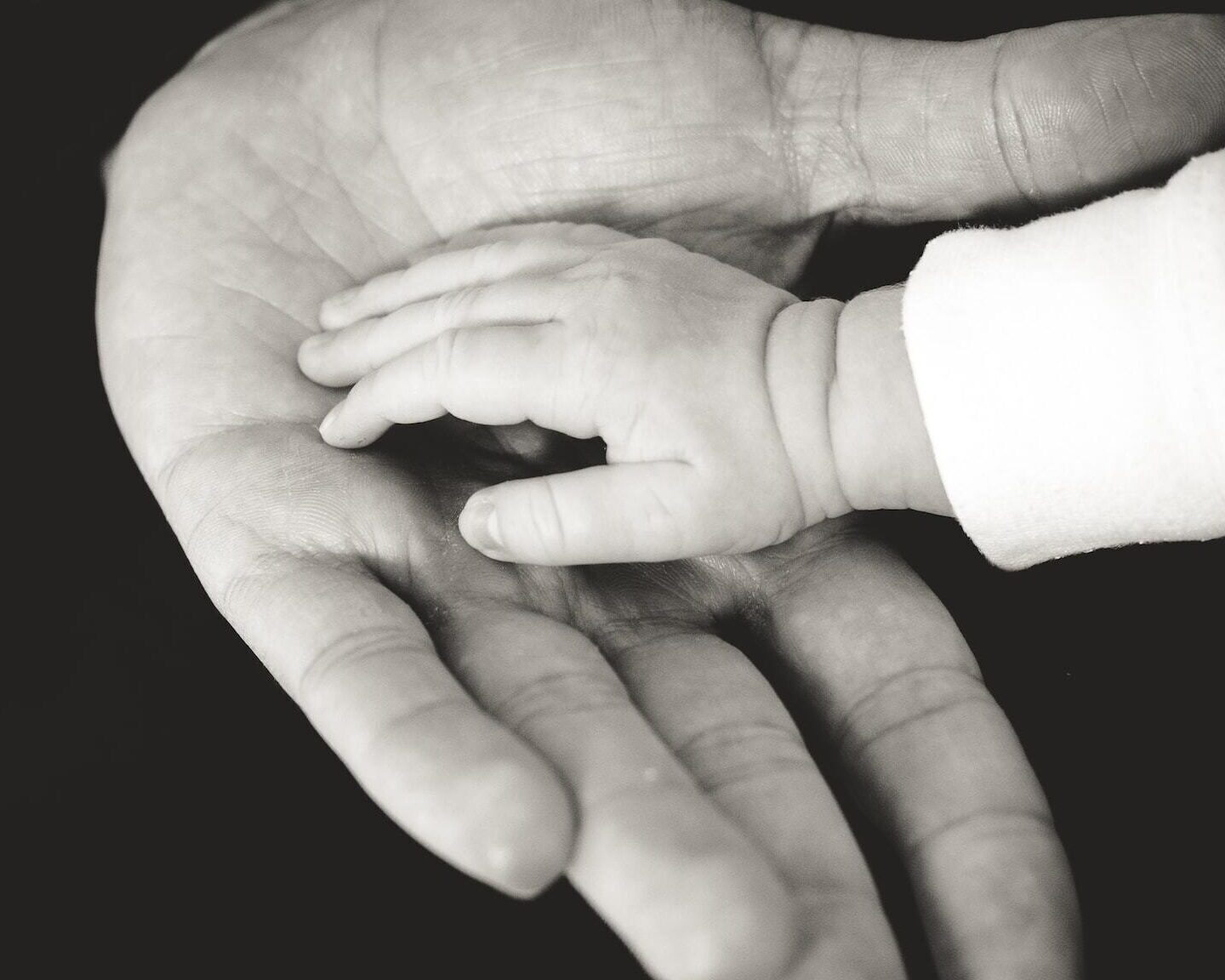 Liane metzler B32qg6 Ua34 Y unsplash